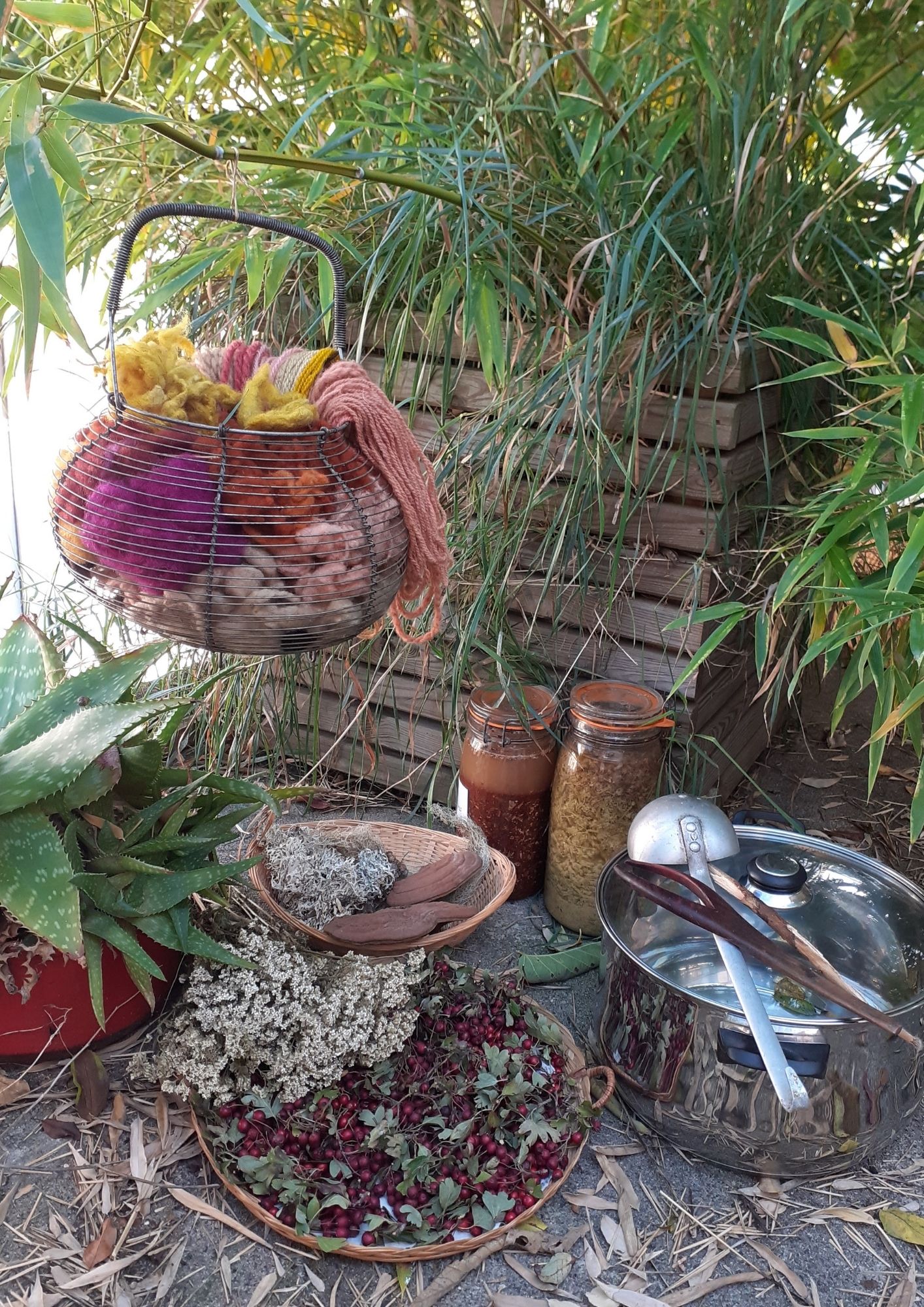 atelier teinture végétale